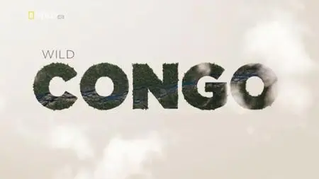 National Geographic - Wild Congo (2014)