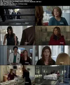 Body Of Proof S02E14 "Cold Blooded"