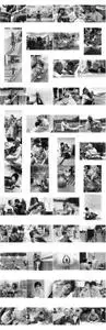 DV-032 Challenging Perception UHQ BW Stock PHOTO