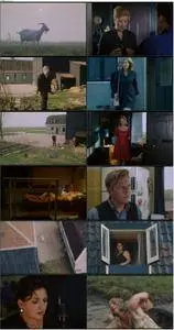Little Tony (1998) Kleine Teun