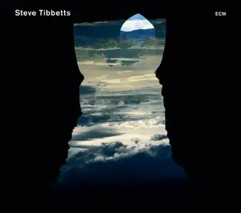 Steve Tibbetts - Natural Causes (2010) [FLAC] *New Links*