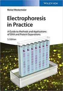 Electrophoresis in Practice: A Guide to Methods and Applications of DNA and Protein Separations (Repost)