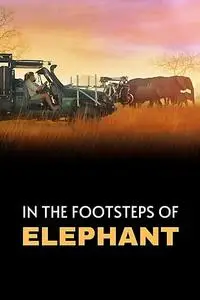 In the Footsteps of Elephant (2020)