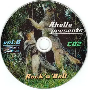 VA - Akella Presents Vol. 6: Rock'n'Roll (2013)