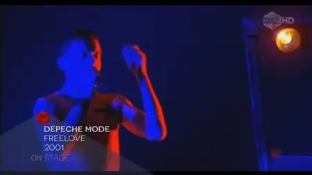 Depeche Mode - One Night In Paris 2001 (2014) [HDTV, 1080i]