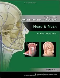 Concise Illustrated Anatomy: Head & Neck
