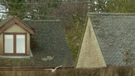 Wild Britain S01E07