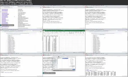 Certified Analytics Professional (CAP) Cert Prep: Domains 1–4