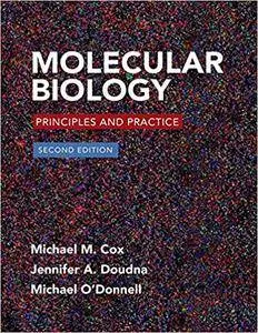 Molecular Biology: Principles and Practice, 2nd Edition