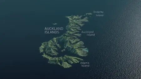 ZDF - Savage Island Giants (2019)