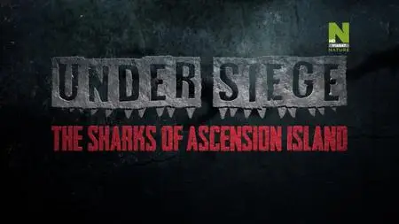 Under Siege – The Sharks of Ascension Island (2019)