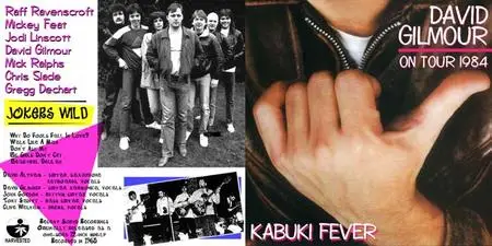 David Gilmour - Kabuki Fever (1984)