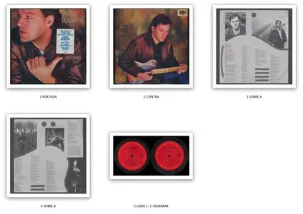 David Gilmour ‎- About Face (1984) Original US Pressing - LP/FLAC In 24bit/96kHz
