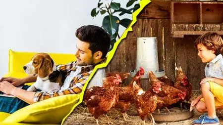 Master Course In Poultry And Pet Management 2.0