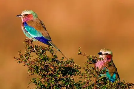 World In Photo 248