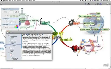 MyThoughts v1.3.3 Mac OS X