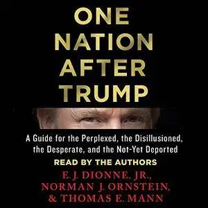 One Nation After Trump: A Guide for the Perplexed, the Disillusioned, the Desperate, and the Not-Yet Deported [Audiobook]