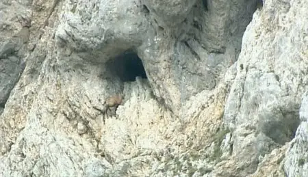 (Fr5) Le canyon sauvage de la Tara (2011)