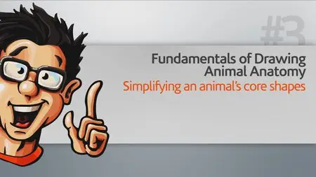 Fundamentals of Drawing Animal Anatomy [repost]