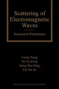 Scattering of Electromagnetic Waves, Numerical Simulations (Repost)