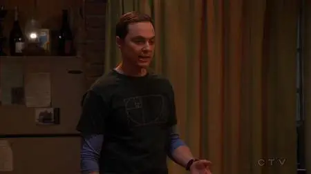 The Big Bang Theory S11E11