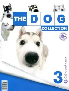 The Dog Collection - n°3