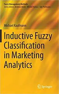 Inductive Fuzzy Classification in Marketing Analytics