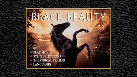 Black Beauty (1994)