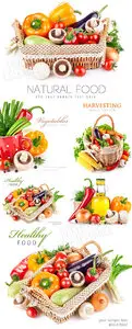Vegetables 16