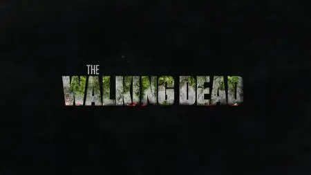 The Walking Dead S10E05