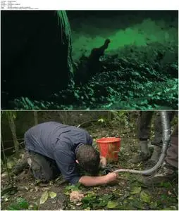 Cave Crocs of Gabon (2018)