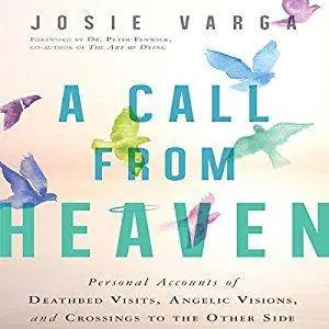 A Call from Heaven [Audiobook]