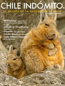 Chile Indomito - Enero 2016