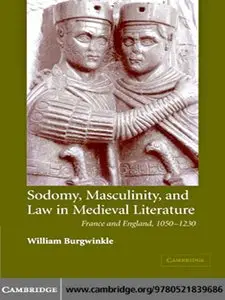 Sodomy, Masculinity and Law in Medieval Literature: France and England, 1050-1230 by William E. Burgwinkle