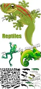Reptiles Vector