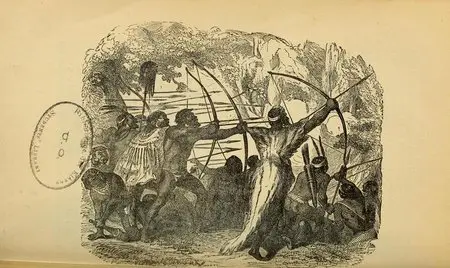Aventures de Robinson Crusoe (1870)