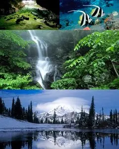 Collection wallpapers №82