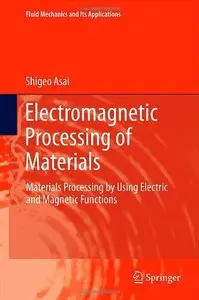 Electromagnetic Processing of Materials: Materials Processing by Using Electric and Magnetic Functions (Repost)