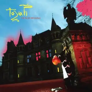 Toyah - The Blue Meaning (1980/2023) [Official Digital Download 24/96]