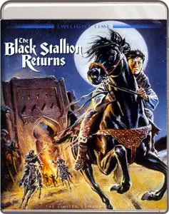 The Black Stallion Returns (1983)