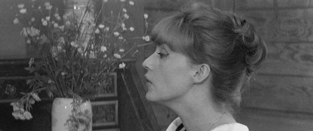 Jules et Jim / Jules and Jim (1962) [The Criterion Collection]