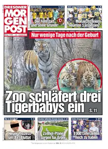 Dresdner Morgenpost - 11 August 2025