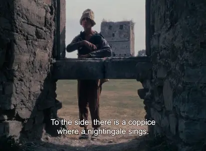 Sredi serykh kamney / Among Grey Stones (1983)