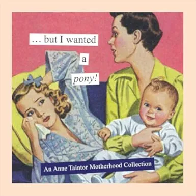 But I Wanted a Pony!: An Anne Taintor Motherhood Collection