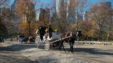 World's Sweetest Candy Shops (2025)