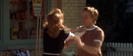The Notebook (2004)