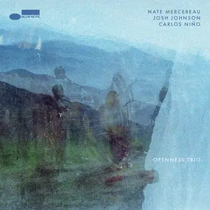 Nate Mercereau, Josh Johnson & Carlos Niño - Openness Trio (2025)