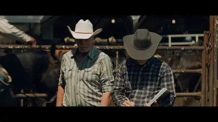 Thieves Highway (2025)