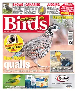 Cage & Aviary Birds - 5 November 2025