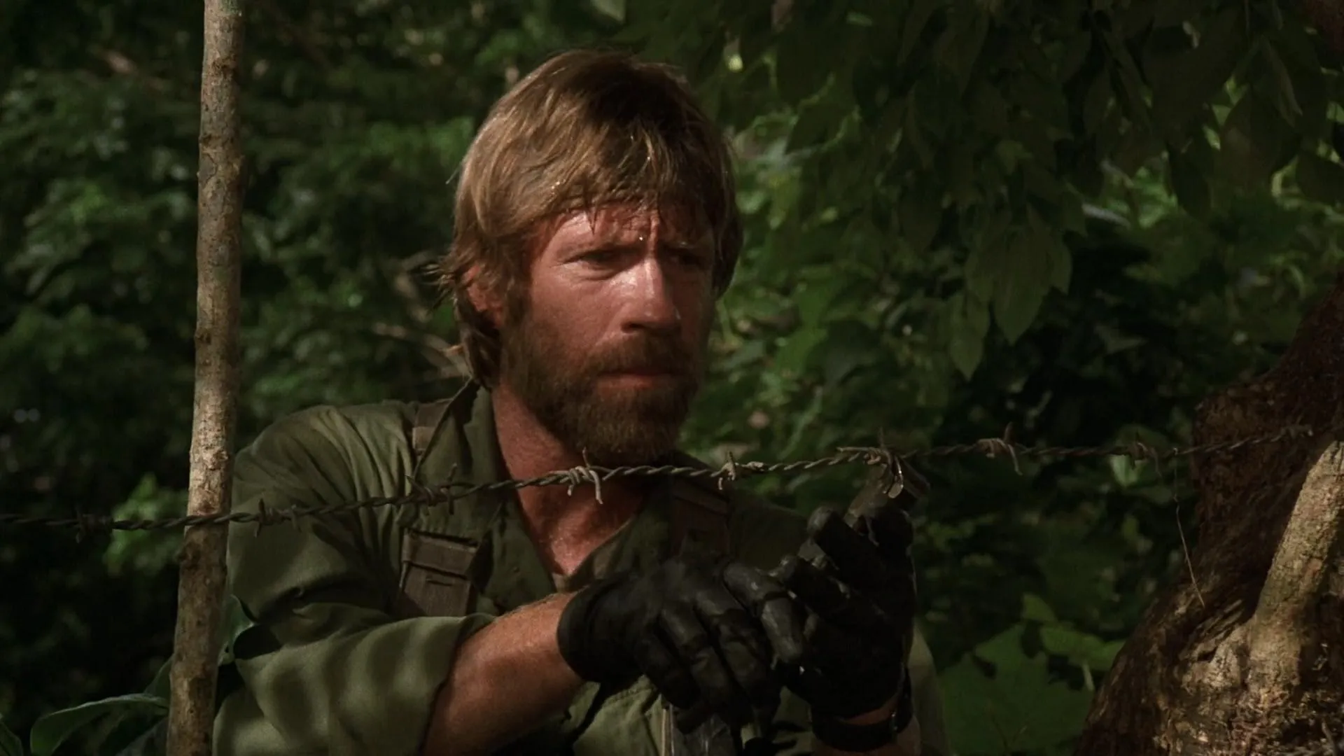 Missing in Action (1984)